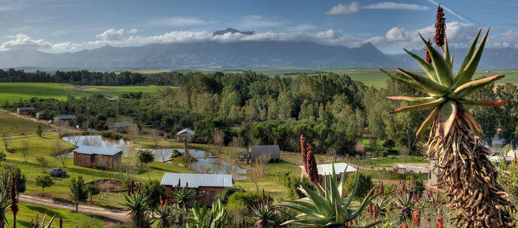africamps boutique glamping south africa