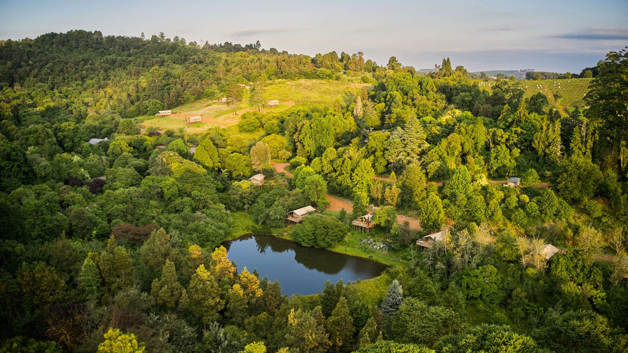africamps magoebaskloof limpopo glamping south africa
