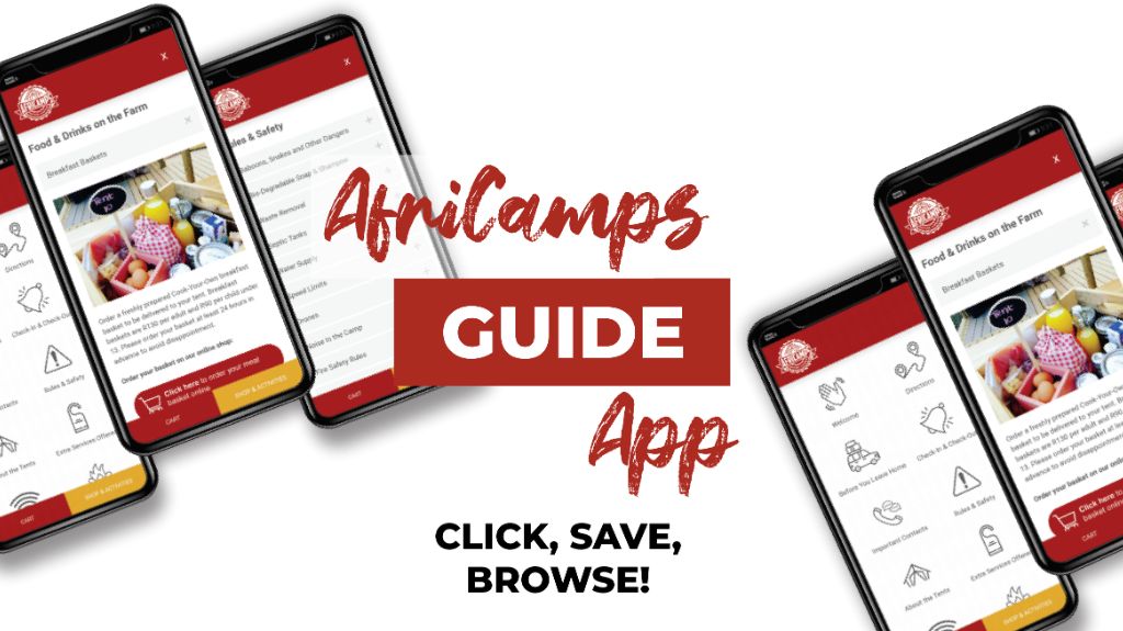 Using the AfriCamps App