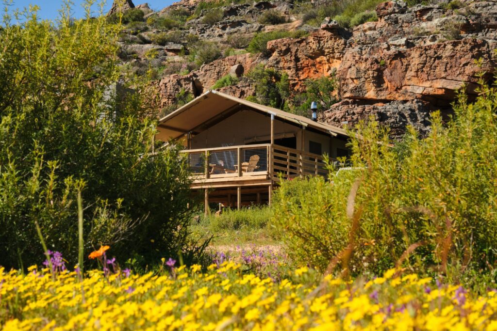 africamps at de pakhuys cederberg boutique glamping south africa