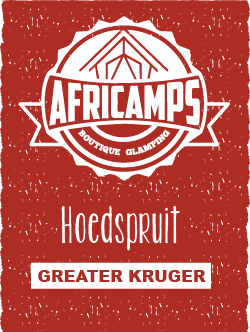 AfriCamps logo