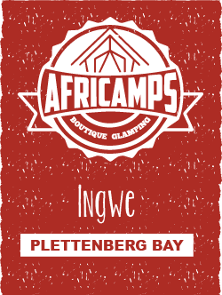 AfriCamps logo