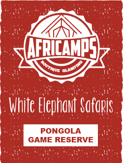 AfriCamps logo