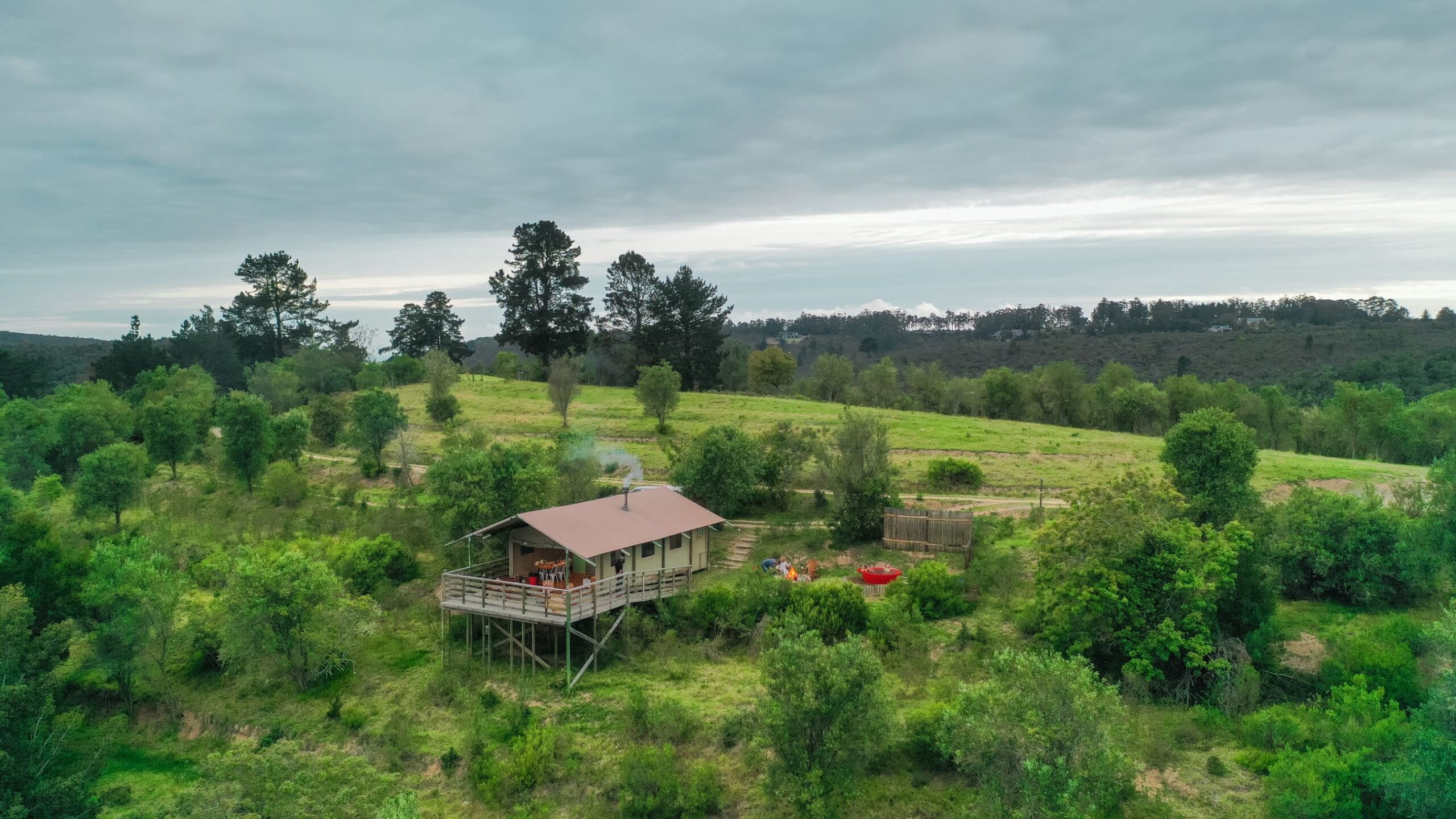 africamps at ingwe plettenberg bay boutique glamping south africa