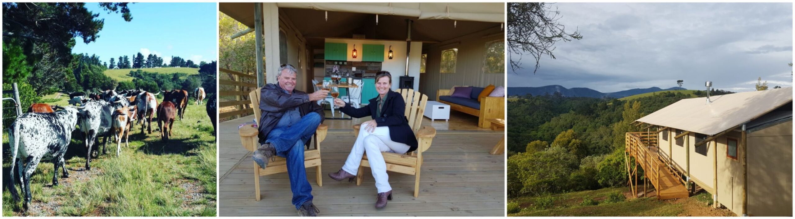 africamps at ingwe plettenberg bay boutique glamping south africa