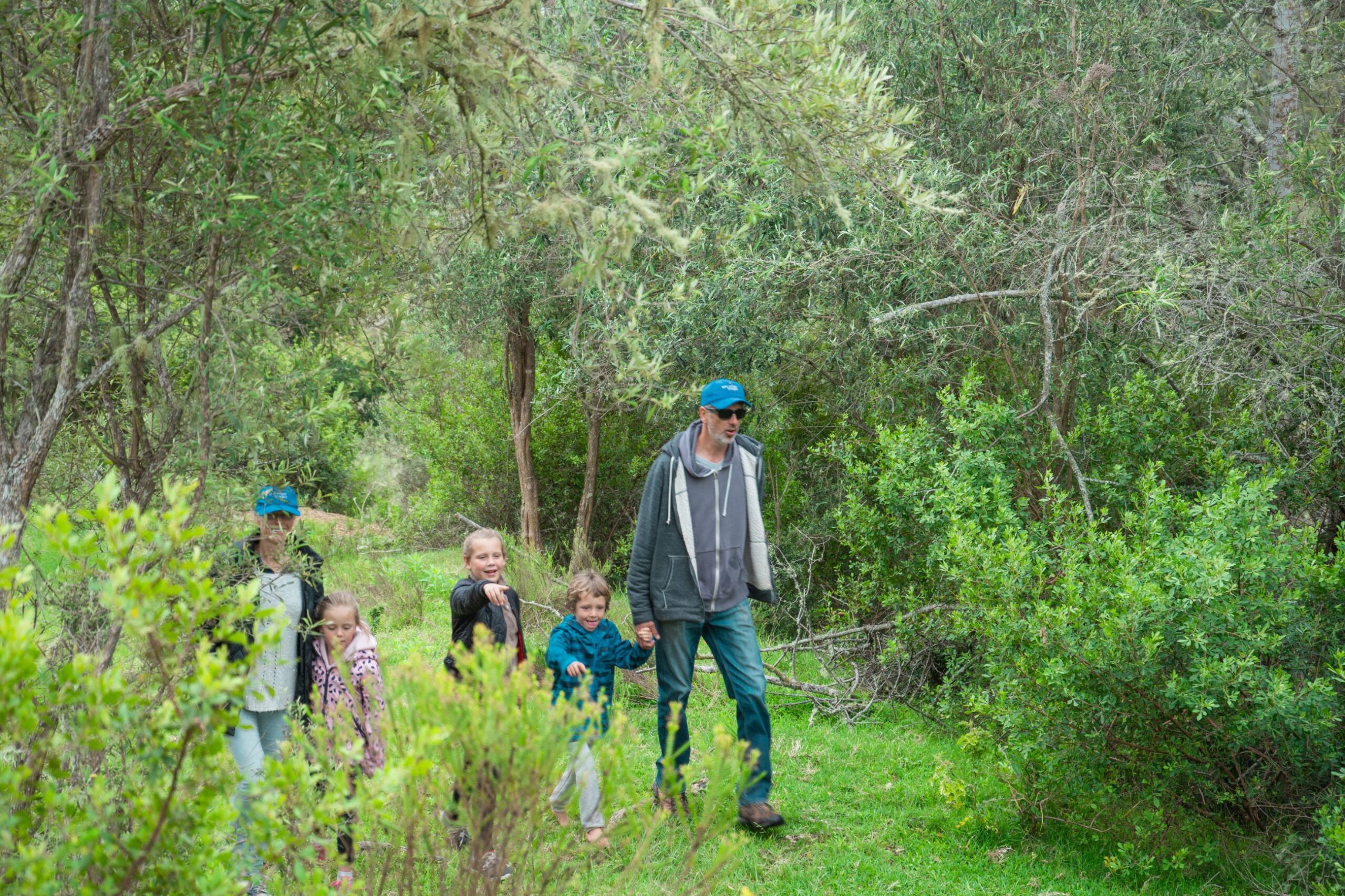 africamps at ingwe plettenberg bay boutique glamping south africa