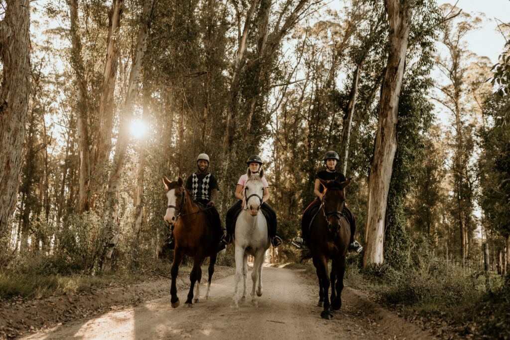 africamps at oakhurst wilderness boutique glamping south africa
