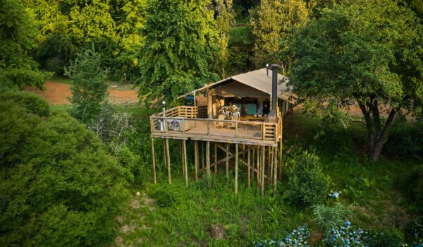 africamps magoebaskloof limpopo boutique glamping south africa