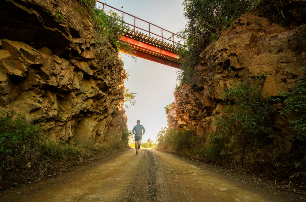 africamps addo, eastern cape, boutique glamping south africa