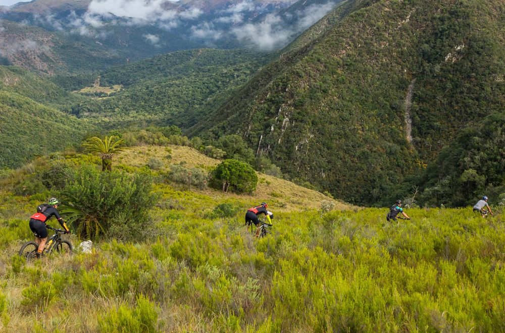 africamps addo, eastern cape, boutique glamping south africa