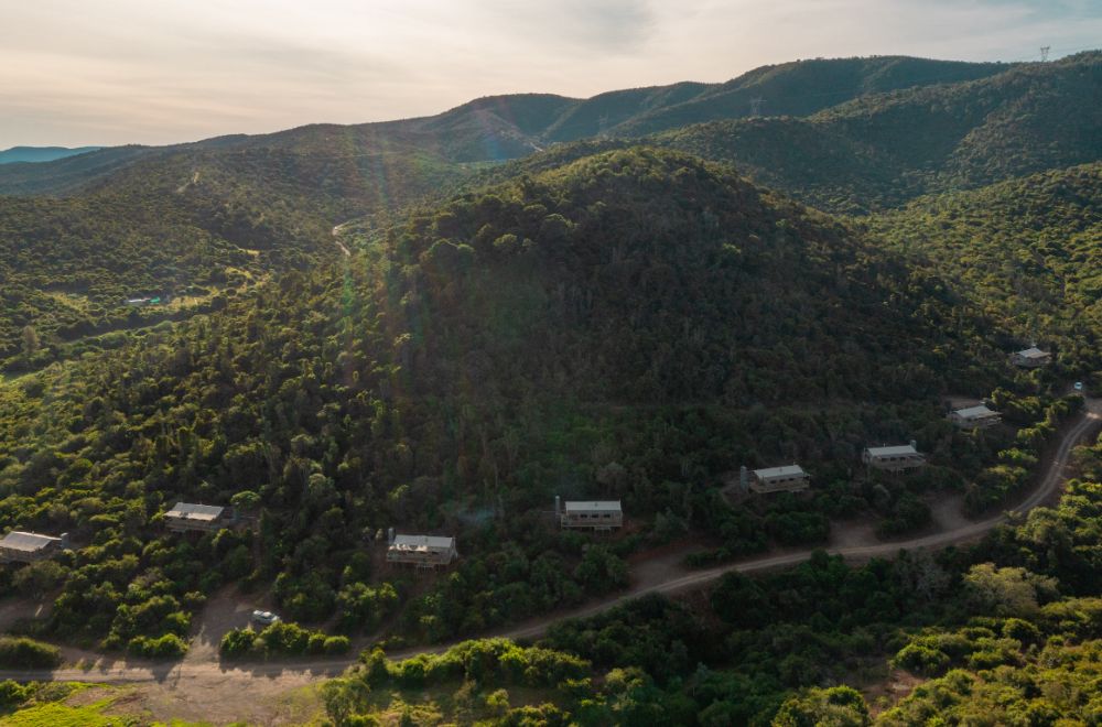 africamps addo, eastern cape, boutique glamping south africa