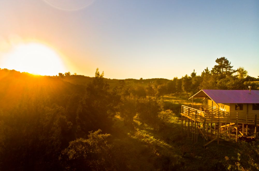 africamps at ingwe, plettenberg bay, boutique glamping south africa