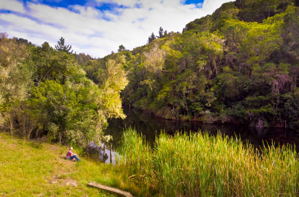 africamps at ingwe, plettenberg bay, boutique glamping south africa