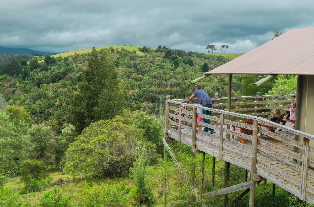 africamps at ingwe, plettenberg bay, boutique glamping south africa