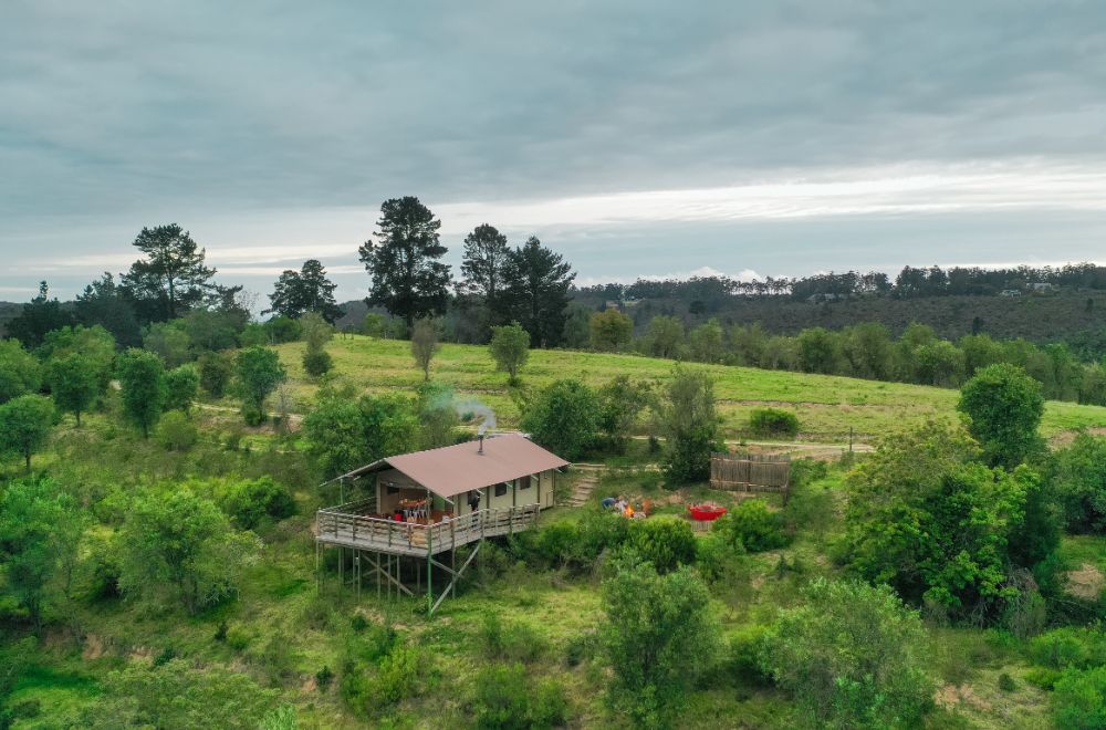 africamps at ingwe, plettenberg bay, boutique glamping south africa