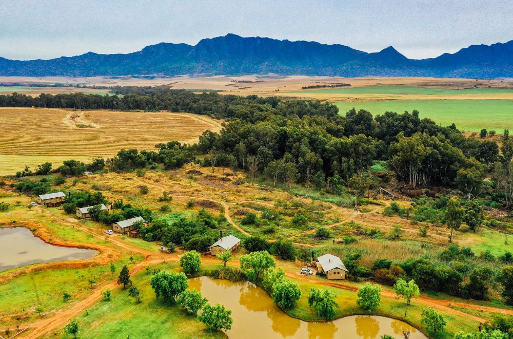 africamps at kam'bati, swellendam, boutique glamping south africa
