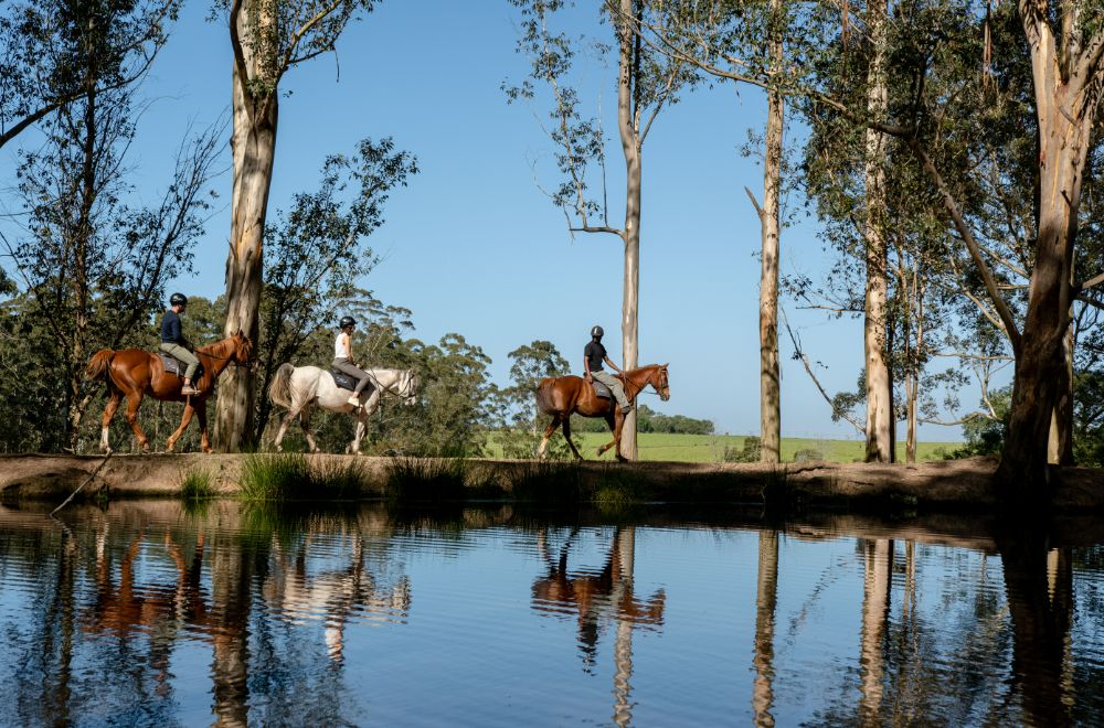 africamps at oakhurst, wilderness, boutique glamping south africa