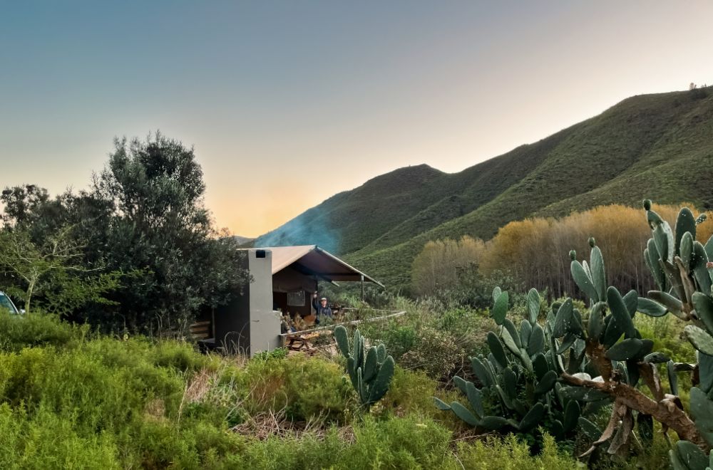 africamps at pat busch, robertson, boutique glamping south africa