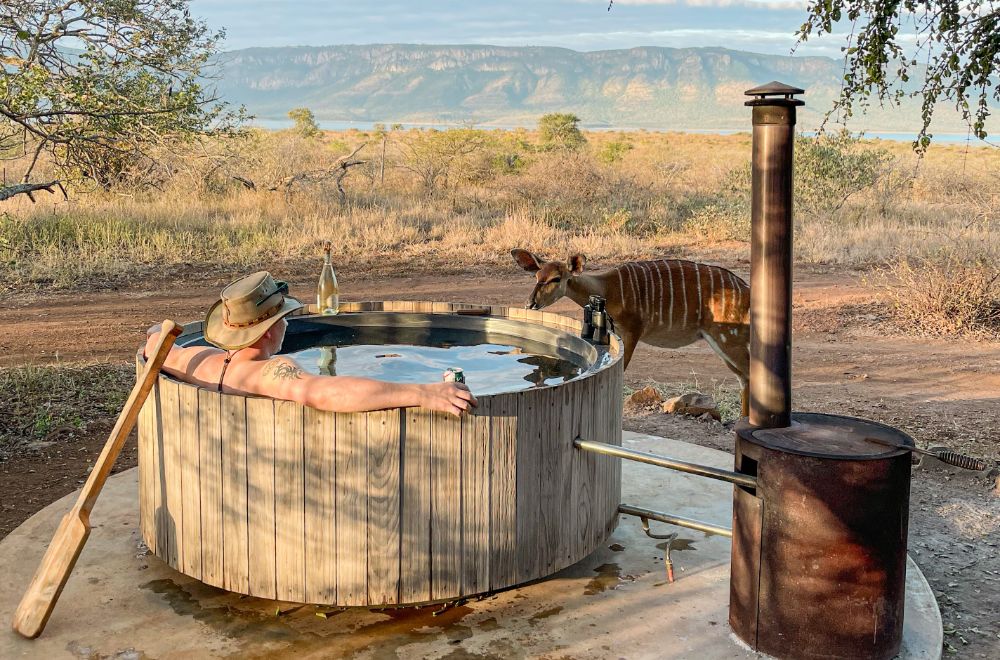 africamps at white elephant safaris, pongola game reserve, boutique glamping south africa