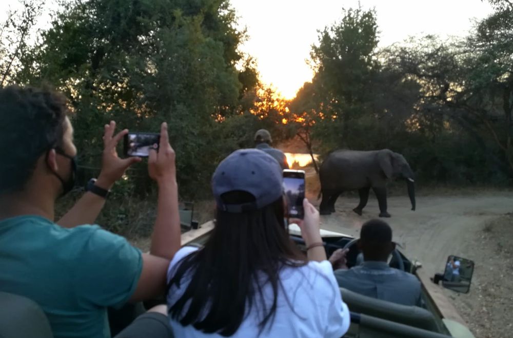 africamps hoedspruit, greater kruger, boutique glamping south africa