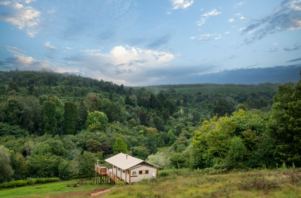 africamps magoebaskloof, limpopo, boutique glamping south africa