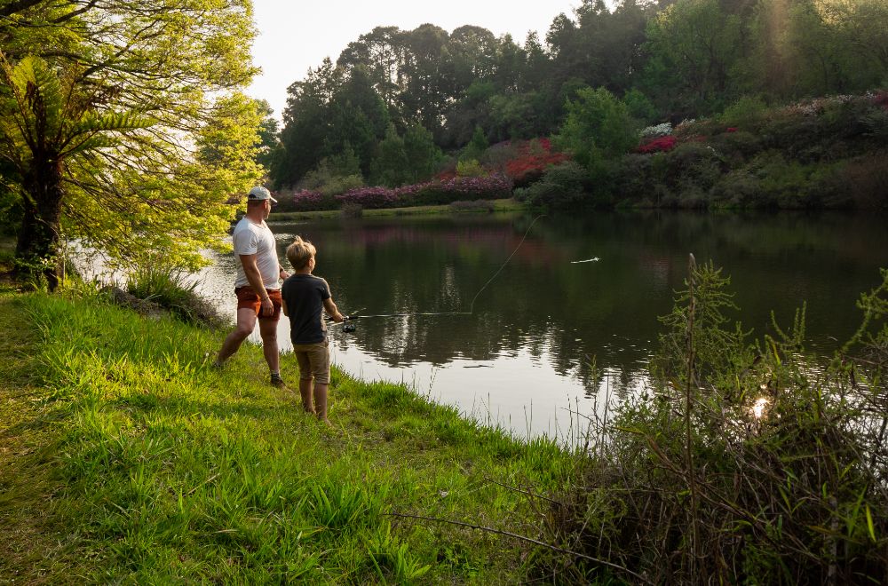 africamps magoebaskloof, limpopo, boutique glamping south africa