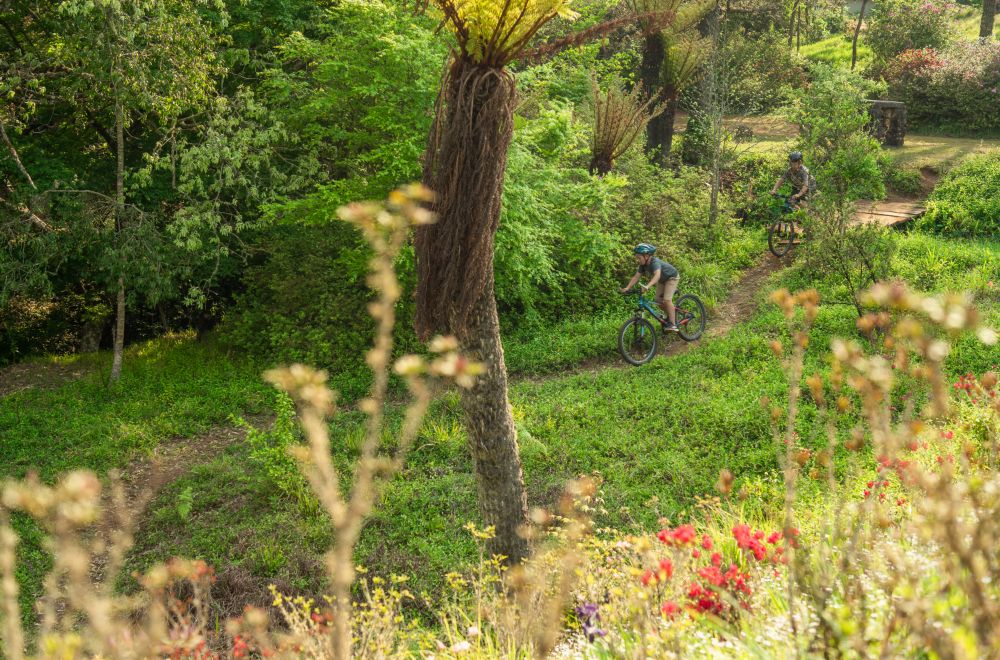 africamps magoebaskloof, limpopo, boutique glamping south africa