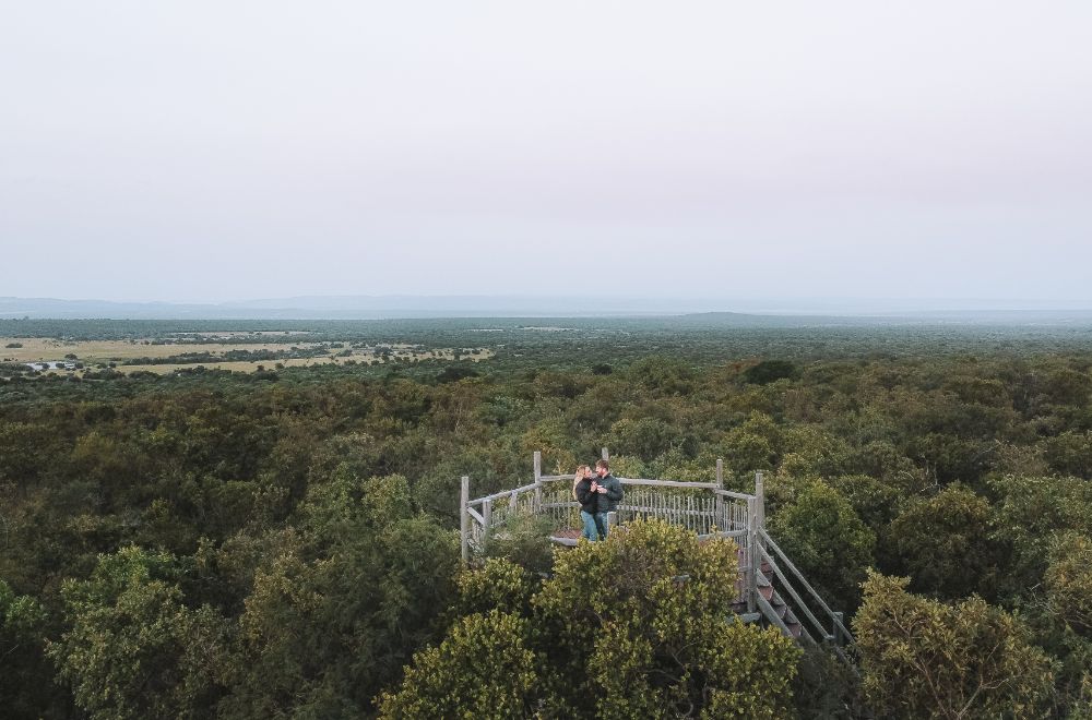africamps waterberg, limpopo, boutique glamping south africa
