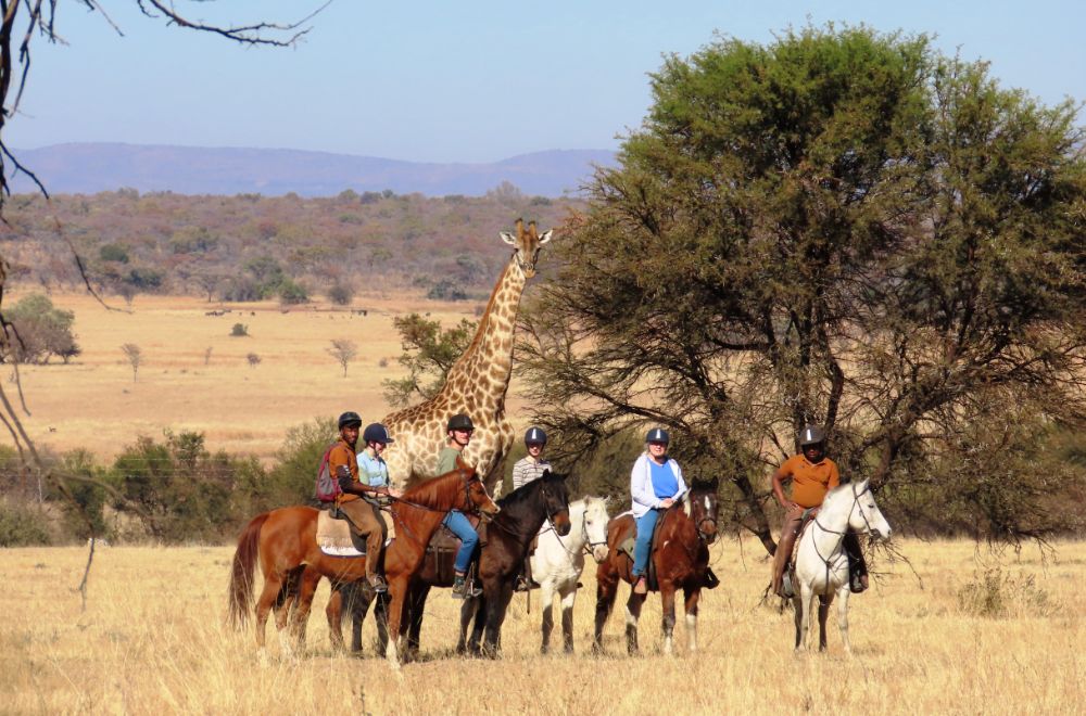 africamps waterberg, limpopo, boutique glamping south africa