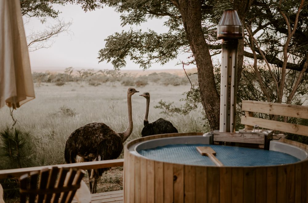 africamps waterberg, limpopo, boutique glamping south africa