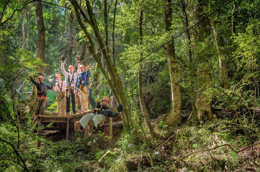 canopy tours south africa ziplining