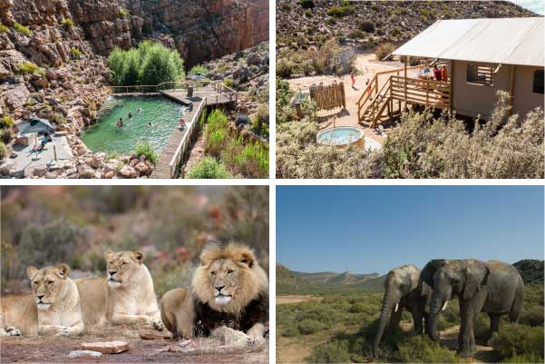 africamps karoo 1 hex valley boutique glamping big 5 safari special