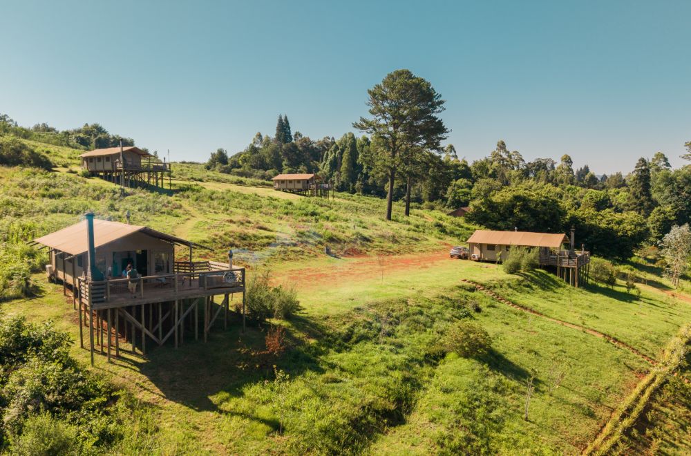 africamps magoebaskloof limpopo glamping south africa