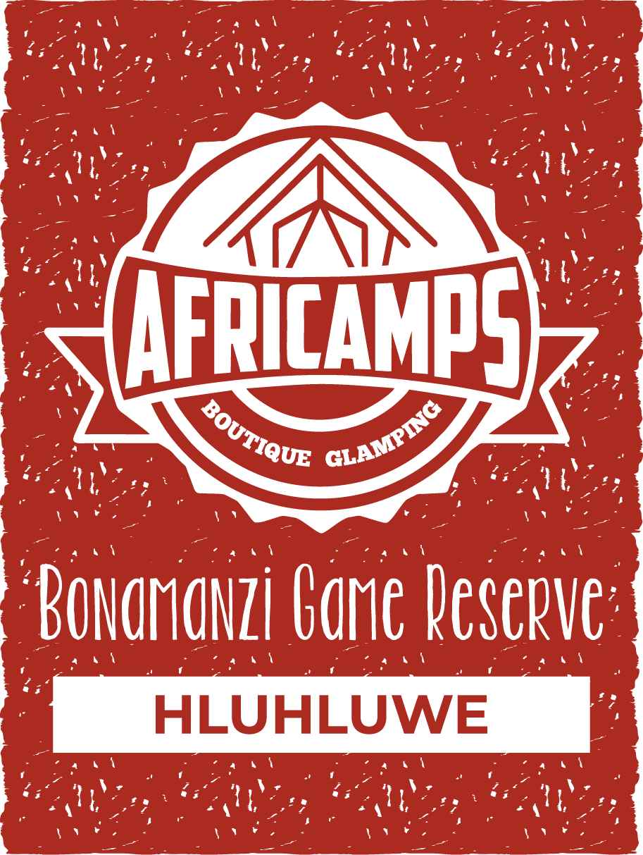 AfriCamps logo