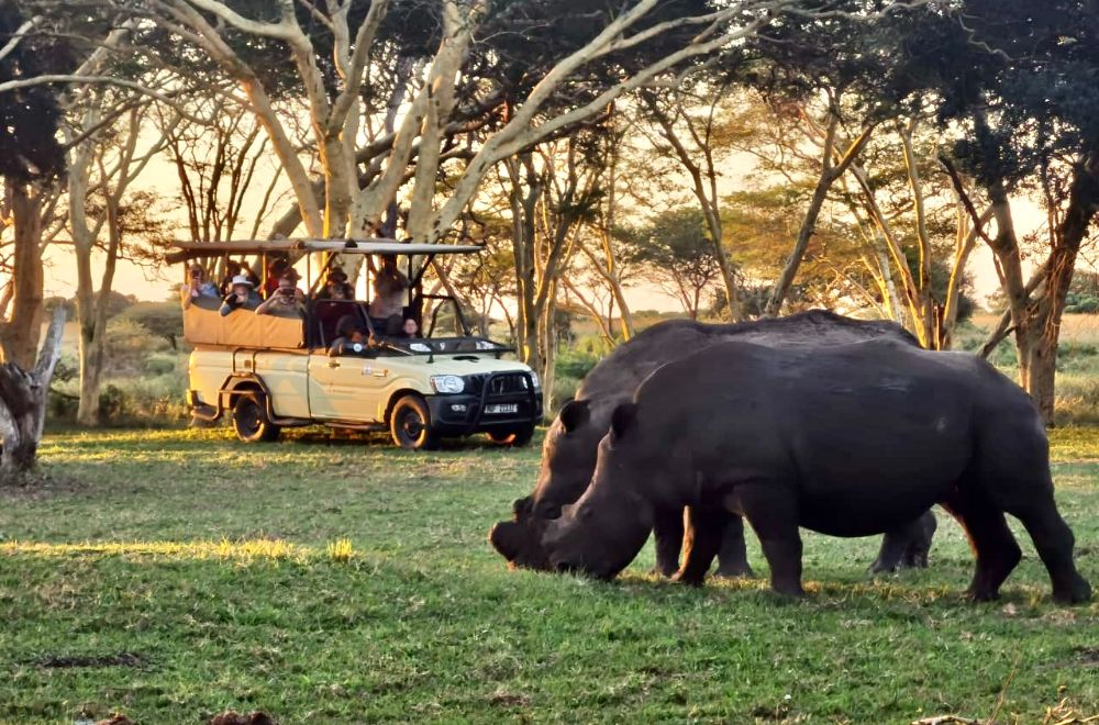 africamps at bonamanzi game reserve hluhluwe