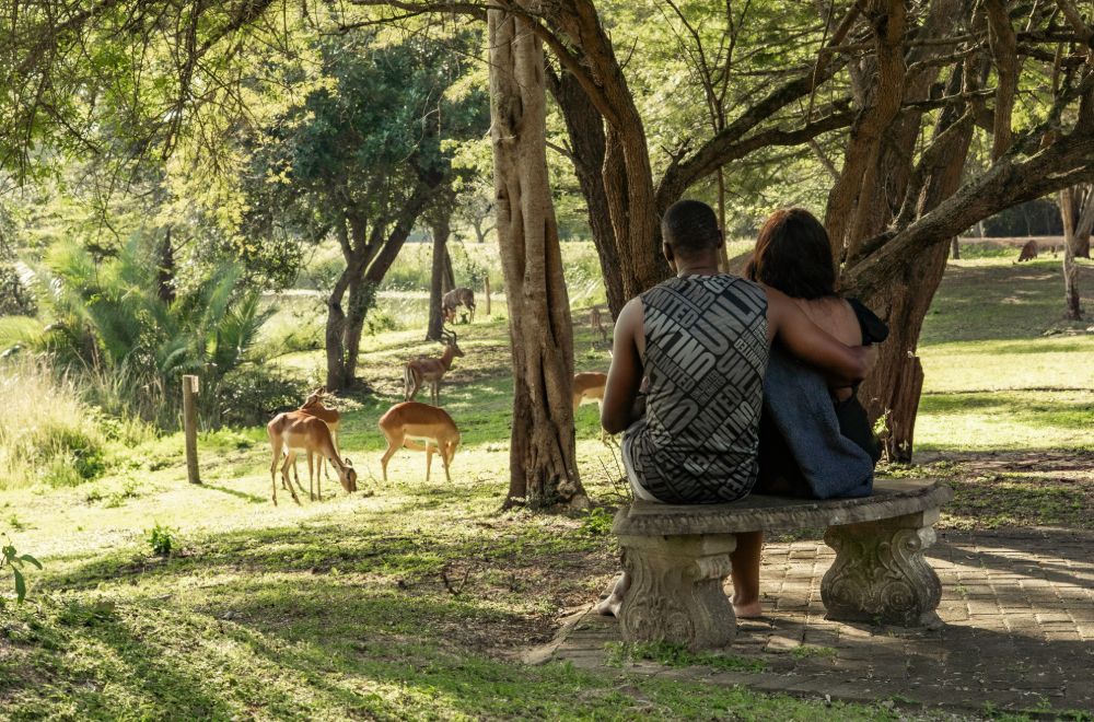 africamps at bonamanzi game reserve hluhluwe